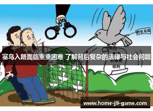 塞鸟入籍面临重重困难 了解背后复杂的法律与社会问题 塞鸟入籍面临重重困难 了解背后复杂的法律与社会问题