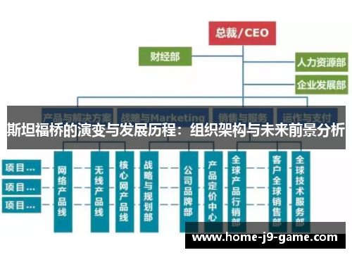 斯坦福桥的演变与发展历程:组织架构与未来前景分析 斯坦福桥的演变与发展历程:组织架构与未来前景分析
