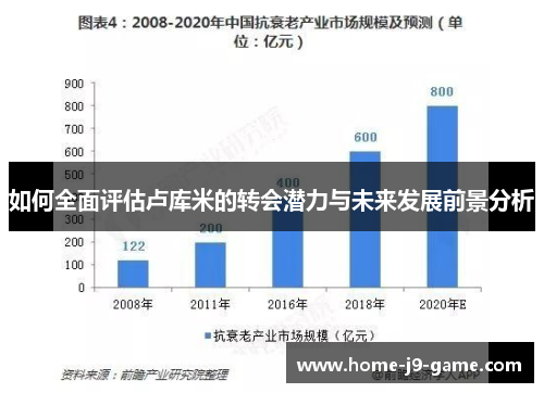如何全面评估卢库米的转会潜力与未来发展前景分析